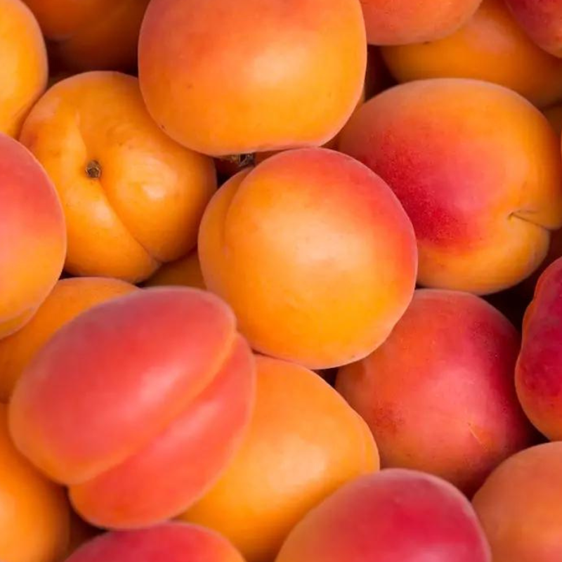 Huile Bio d'Abricot Illuminatrice Huile Bio d'Abricot Illuminatrice