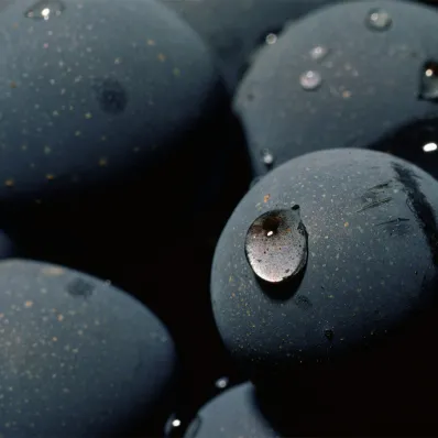 raisin bio antioxydant focus tâches pigmentaires