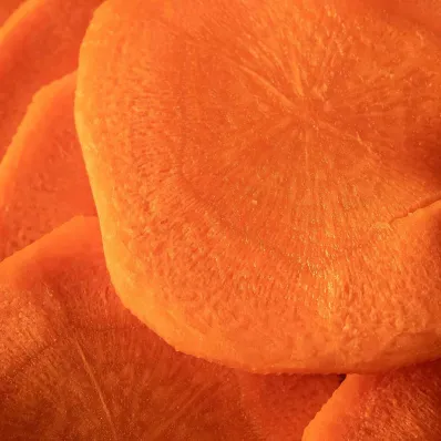 Booster Éclat Bio – Effet Bonne Mine | Matière Brute Lab Booster Éclat Bio – Effet Bonne Mine | Matière Brute Lab