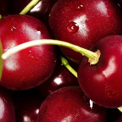 Extrait de Cerise Bio