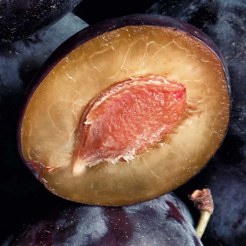 Extrait de Prune Bio Nourrissante Extrait de Prune Bio Nourrissante