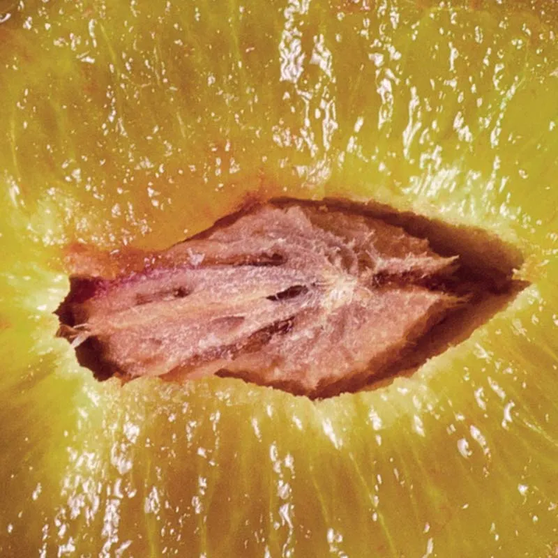 Essentiels Régénération – Régénérer & nourrir | Matière Brute Lab