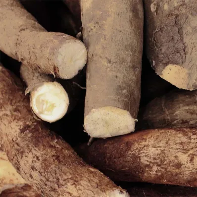 Baume Corps Nourrissant - Matière Brute Lab Baume Corps Nourrissant - Matière Brute Lab