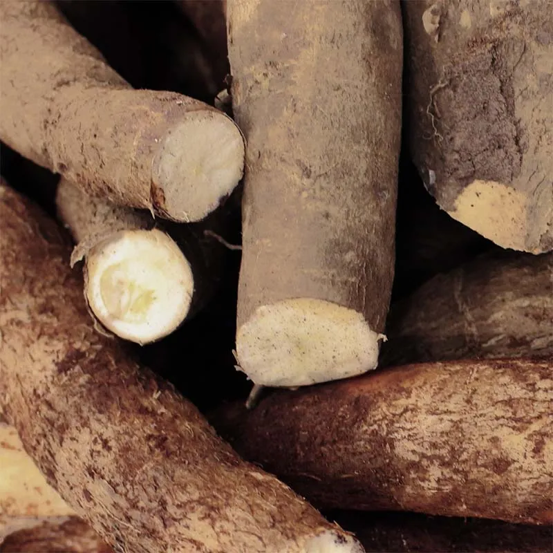 Baume Corps Nourrissant - Matière Brute Lab Baume Corps Nourrissant - Matière Brute Lab