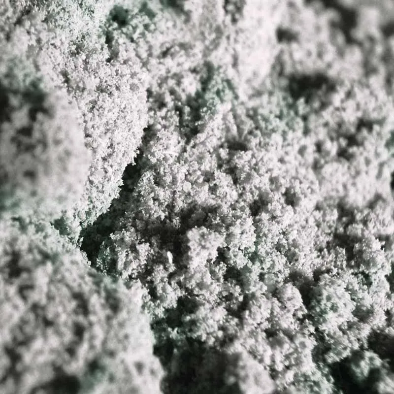 Poudre à la spiruline