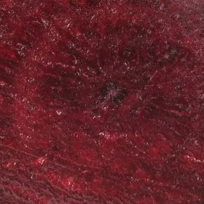 Betterave bio française