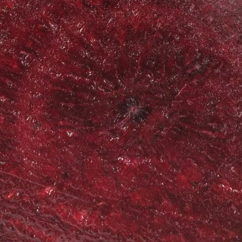 Betterave bio française