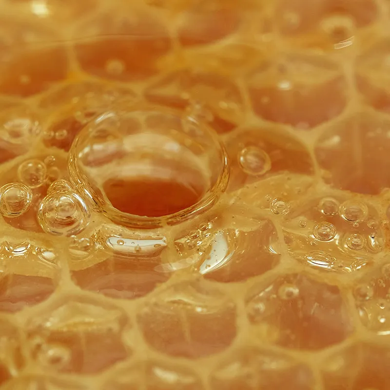 Masque au miel réparateur Masque au miel réparateur