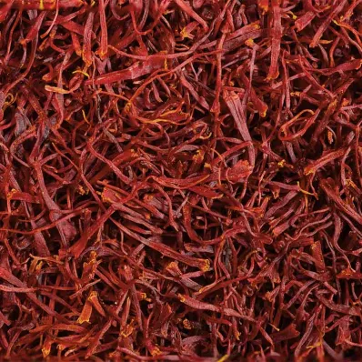 Duo Fraîcheur Quotidienne | L'essentiel 100% naturel | Matière Brute Lab