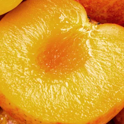 Duo Yoga du Visage - Huile Bio + Boulado visage | Matière Brute Lab