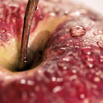 Coffret Douceur - Masque miel et Huiles visage Bio - Matière Brute Lab Coffret Douceur - Masque miel et Huiles visage Bio - Matière Brute Lab