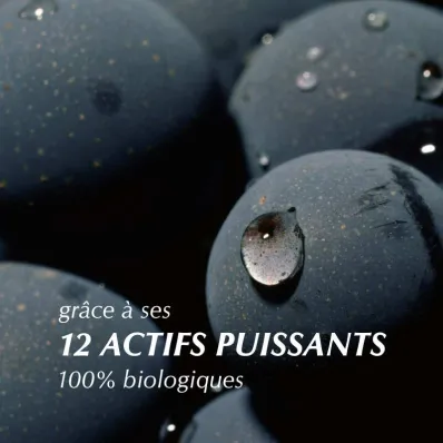 &Eacute;lixir Contour des Yeux fluide &ndash; Cernes et poches | Mati&egrave;re Brute Lab
