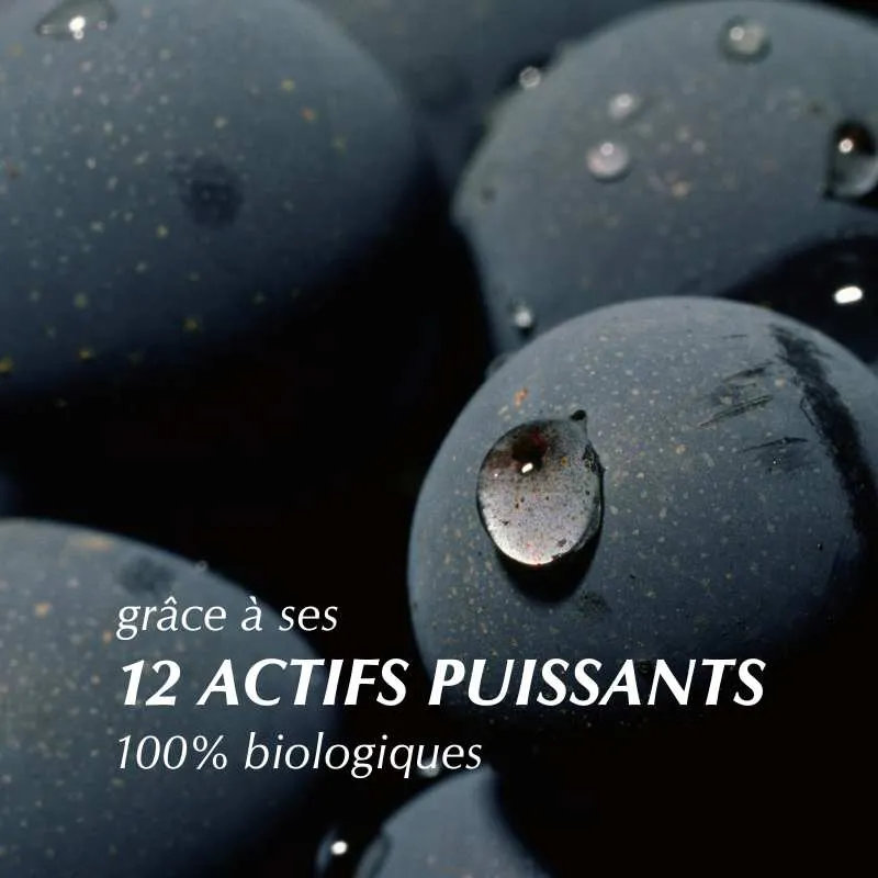 &Eacute;lixir Contour des Yeux fluide &ndash; Cernes et poches | Mati&egrave;re Brute Lab
