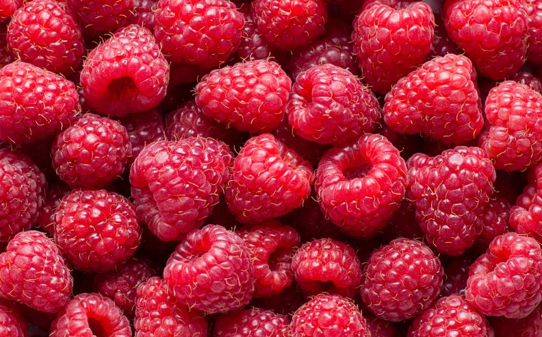 Quels sont les bienfaits et les vertus de la framboise pour la peau ? -  Matière Brute Lab