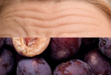 Diptyque de la ride du lion et de prunes