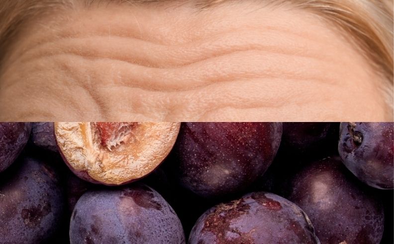 Diptyque de la ride du lion et de prunes