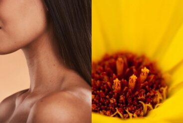 Un diptyque d'un cou d'une femme et une fleur de calendula