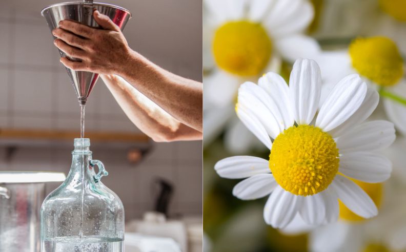 À l’origine de la beauté : nos producteurs, nos matières premières, notre exigence