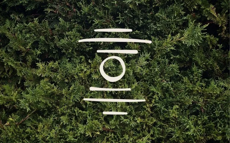 Un zoom brut sur du cyprès et le pictogramme apaiser