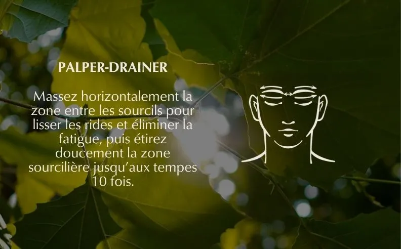 L'exercice palper-drainer