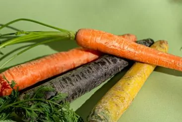Le macérat huileux de carotte, un allié pour préparer la peau au soleil et vous
