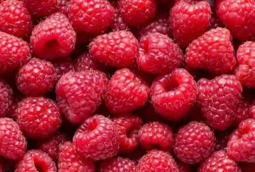 Plein de framboises