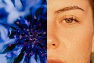 Diptyque d'un regard et d'une fleur de bleuet