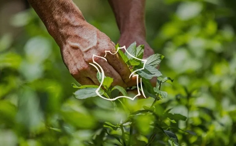 Zoom brut sur les mains d'un agriculteur et le pictogramme engagé