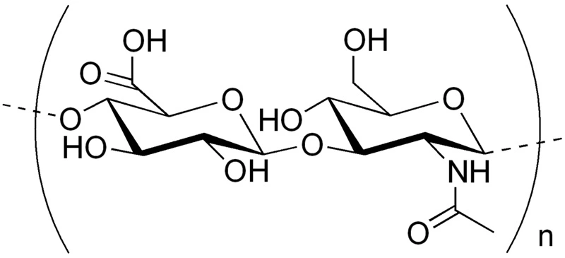  Structure chimique de l’acide hyaluronique