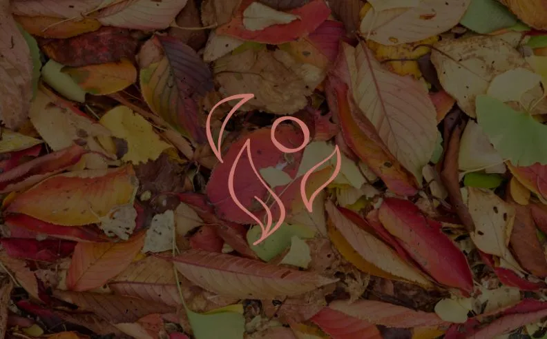 Zoom brut sur le pictogramme d'automne