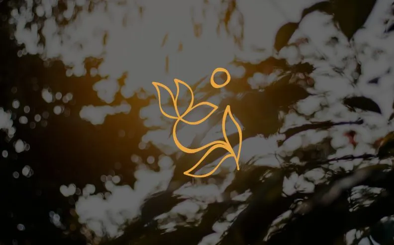 Zoom brut sur le pictogramme d'été