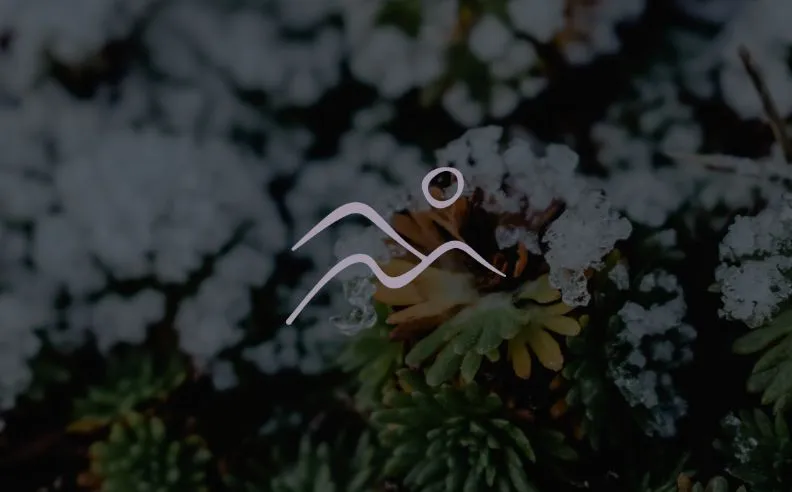 Zoom brut sur le pictogramme d'hiver