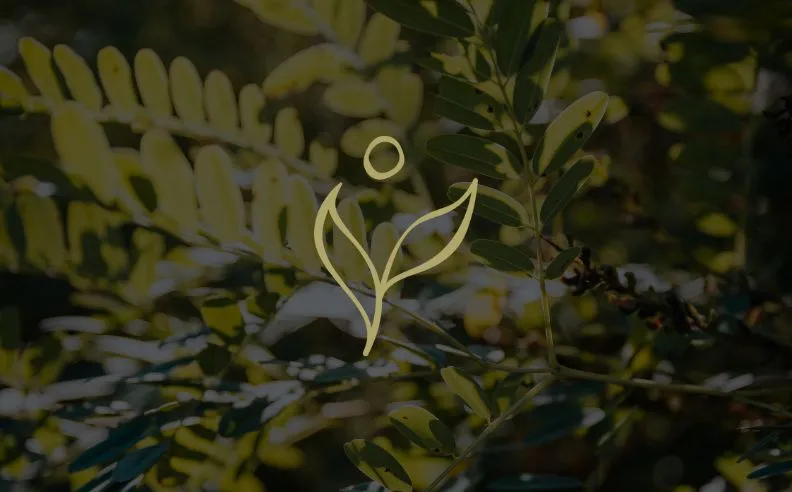 Zoom brut sur le pictogramme du printemps