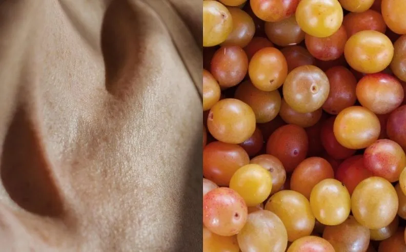 Un diptyque entre des mirabelles et un zoom sur la peau