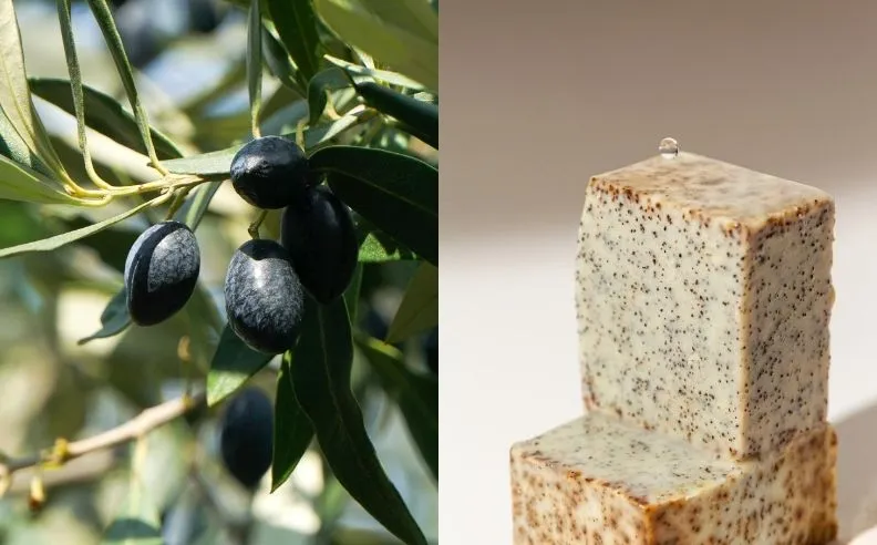 Un diptyque du savon gommant et des olives