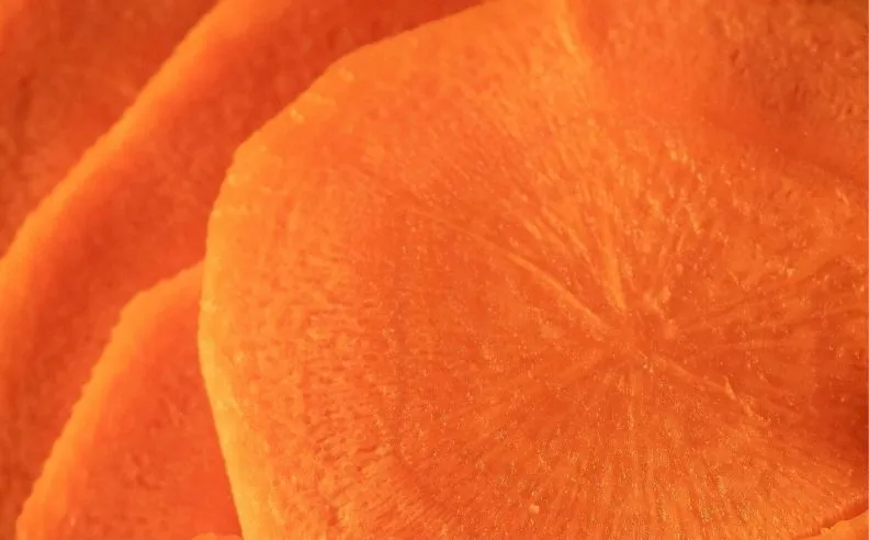 Zoom brut sur de la carotte