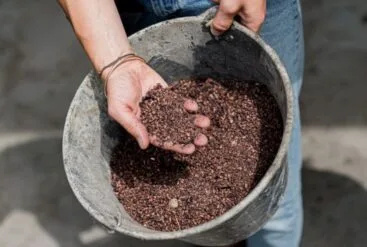 Photo de pépins de raisin