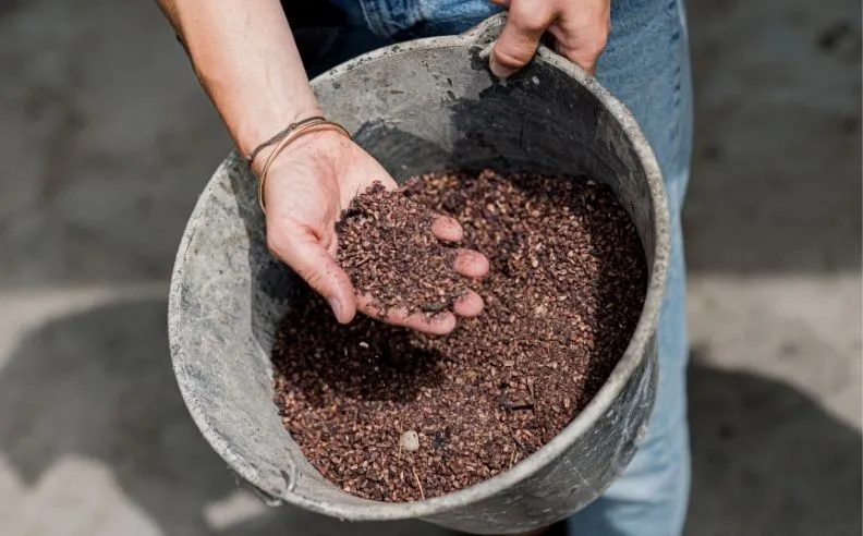Photo de pépins de raisin