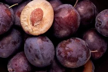Zoom brut sur des prunes