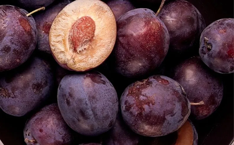 Zoom brut sur des prunes