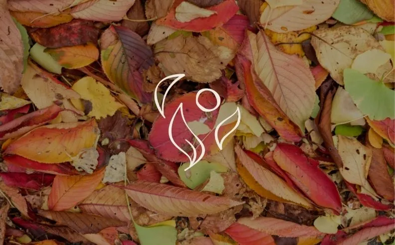 Zoom brut sur des feuilles mortes et le pictogramme de l'automne