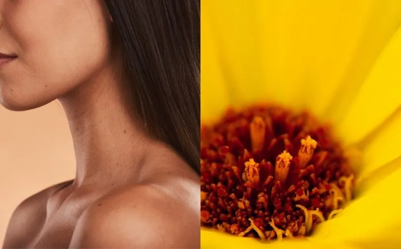 Un diptyque d'un cou d'une femme et une fleur de calendula