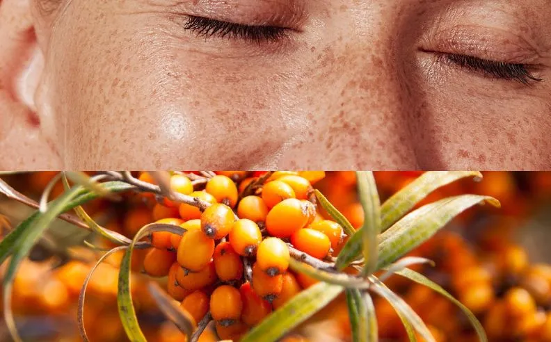 Diptyque d'un visage bonne mine et des baies d'argousier