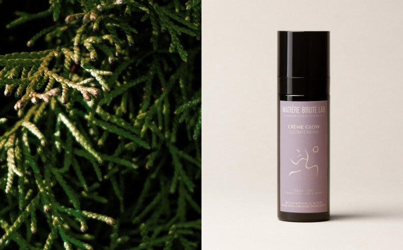Pourquoi les labels cosmétiques bio peuvent être trompeurs : privilégiez des formules riches en ingrédients biologiques