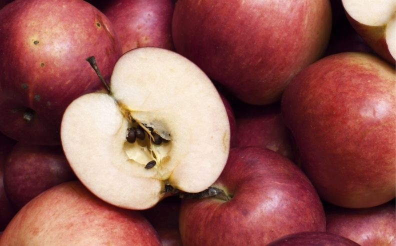 Comment les pépins de pomme peuvent-ils transformer votre routine de soins ?