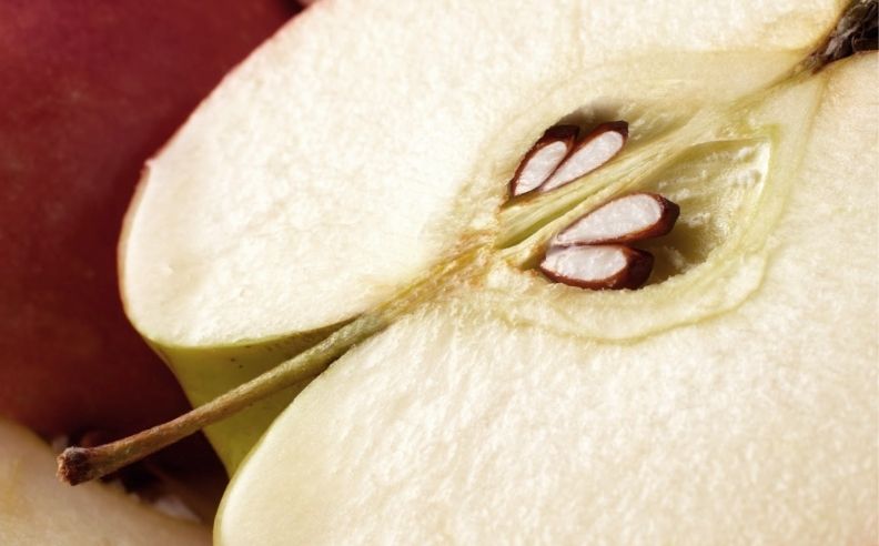 Comment les pépins de pomme peuvent-ils transformer votre routine de soins ?