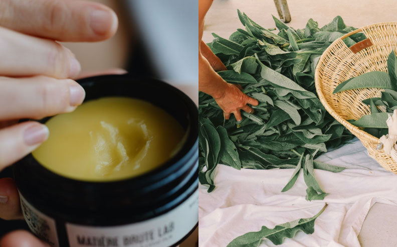 Diptyque sur le baume corps nourrissant et des feuilles de consoude