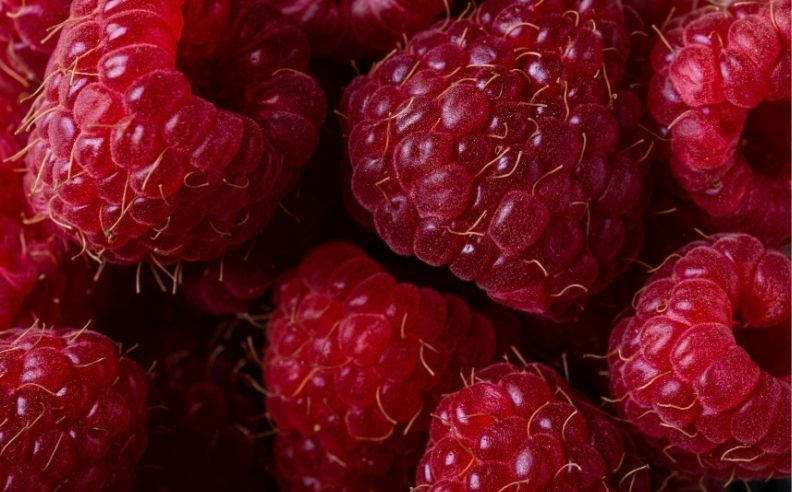 Quels sont les bienfaits et les vertus de la framboise pour la peau ?