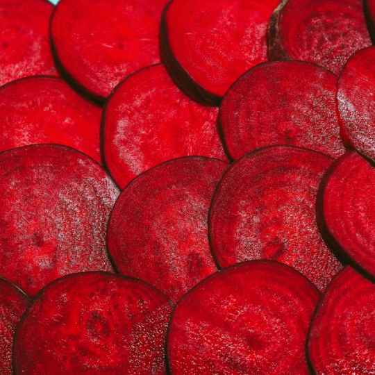 Sucre de Betterave Bio