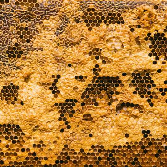Cire d'Abeille Bio